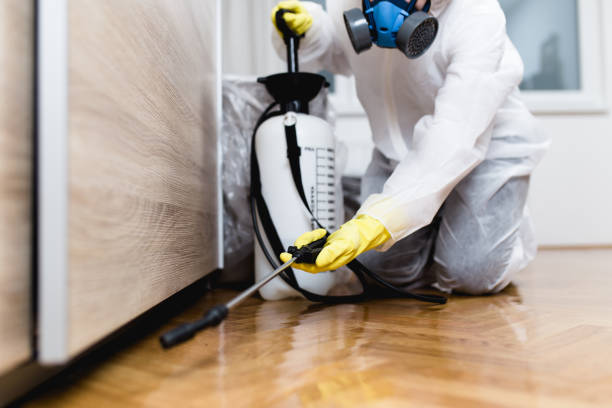 Best Commercial Pest Control Services  in Three Oaks, FL