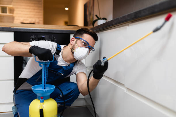 Best Wasp Removal Services  in Three Oaks, FL