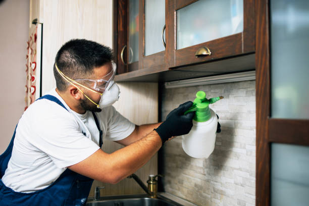 Best Termite Control Services  in Three Oaks, FL
