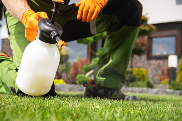 Best Spider Control Near Me  in Three Oaks, FL