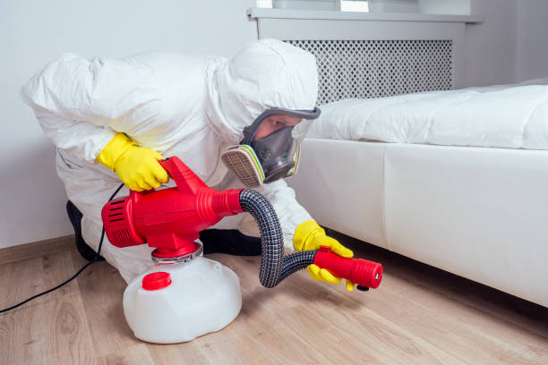 Professional Pest Control in Three Oaks, FL