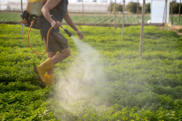Best Best Pest Control Companies  in Three Oaks, FL