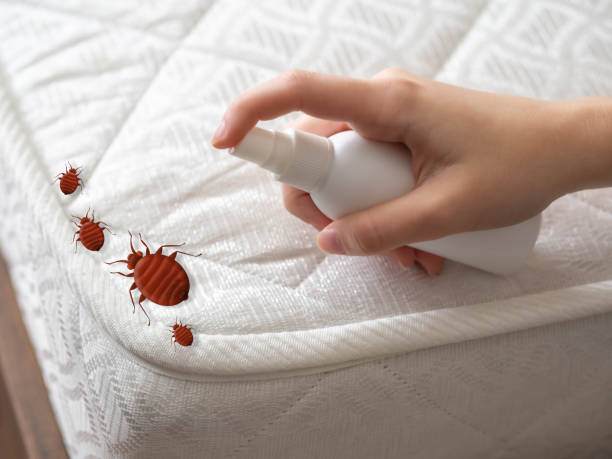 Pest Prevention Services in Three Oaks, FL