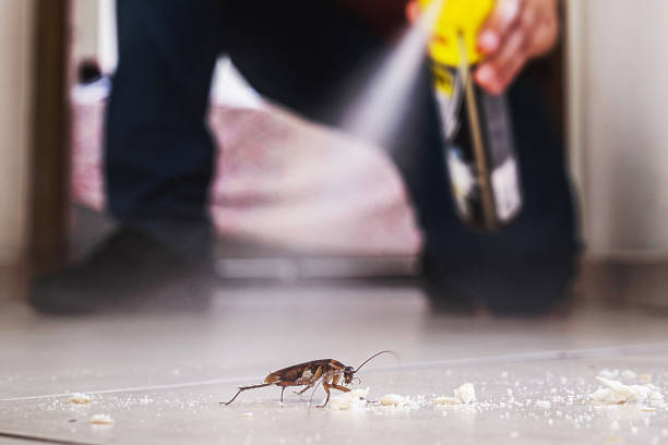 Best Wildlife Control Services  in Three Oaks, FL